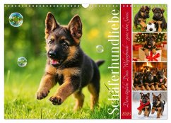Schäferhundliebe - Deine tägliche Dosis Welpenfreude - ganz ohne Gassi. (Wandkalender 2026 DIN A3 quer), CALVENDO Monatskalender Schäferhundliebe - Deine tägliche Dosis Welpenfreude - ganz ohne Gassi. (Wandkalender 2026 DIN A3 quer), CALVENDO Monatskalender