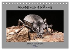 ABENTEUER KÄFER (Tischkalender 2026 DIN A5 quer), CALVENDO Monatskalender ABENTEUER KÄFER (Tischkalender 2026 DIN A5 quer), CALVENDO Monatskalender