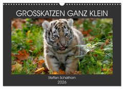 GROSSKATZEN GANZ KLEIN (Wandkalender 2026 DIN A3 quer), CALVENDO Monatskalender GROSSKATZEN GANZ KLEIN (Wandkalender 2026 DIN A3 quer), CALVENDO Monatskalender
