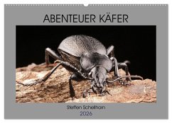 ABENTEUER KÄFER (Wandkalender 2026 DIN A2 quer), CALVENDO Monatskalender ABENTEUER KÄFER (Wandkalender 2026 DIN A2 quer), CALVENDO Monatskalender