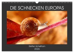 DIE SCHNECKEN EUROPAS (Wandkalender 2026 DIN A3 quer), CALVENDO Monatskalender DIE SCHNECKEN EUROPAS (Wandkalender 2026 DIN A3 quer), CALVENDO Monatskalender