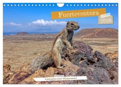 Fuerteventura - Faszination einer Wüsteninsel (Wandkalender 2026 DIN A4 quer), CALVENDO Monatskalender