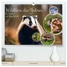 Wildtiere des Jahres (hochwertiger... - Bild 1