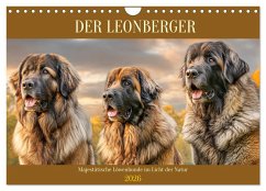 Der Leonberger. Majestätische Löwenhunde im Licht der Natur (Wandkalender 2026 DIN A4 quer), CALVENDO Monatskalender