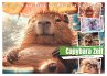 Capybara Zeit (Tischkalender 2026 DIN... - Bild 1