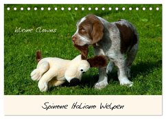 Spinone Italiano Welpen - Kleine Clowns (Tischkalender 2026 DIN A5 quer), CALVENDO Monatskalender Spinone Italiano Welpen - Kleine Clowns (Tischkalender 2026 DIN A5 quer), CALVENDO Monatskalender
