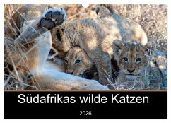 Südafrikas wilde Katzen (Wandkalender 2026 DIN A3 quer), CALVENDO Monatskalender Südafrikas wilde Katzen (Wandkalender 2026 DIN A3 quer), CALVENDO Monatskalender