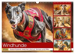 Windhunde. Seelenflüsterer zwischen Anmut, Tempo und Stille (Wandkalender 2026 DIN A3 quer), CALVENDO Monatskalender