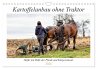 Kartoffelanbau ohne Traktor... - Bild 1