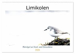 Cover Limikolen - Watvögel an Nord- und Ostseeküste (Wandkalender 2026 DIN A2 quer), CALVENDO Monatskalender