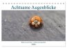 Achtsame Augenblicke (Tischkalender... - Bild 1