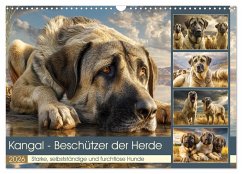 Kangal - Beschützer der Herde. Starke, selbstständige und furchtlose Hunde (Wandkalender 2026 DIN A3 quer), CALVENDO Monatskalender