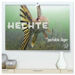 Hechte - perfekte Jäger (hochwertiger Premium Wandkalender 2026 DIN A2 quer), Kunstdruck in Hochglanz