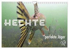 Hechte - perfekte Jäger (Wandkalender 2026 DIN A4 quer), CALVENDO Monatskalender