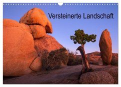 Versteinerte Landschaft (Wandkalender 2026 DIN A3 quer), CALVENDO Monatskalender Versteinerte Landschaft (Wandkalender 2026 DIN A3 quer), CALVENDO Monatskalender