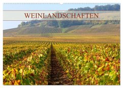 Weinlandschaften (Wandkalender 2026 DIN A2 quer), CALVENDO Monatskalender Weinlandschaften (Wandkalender 2026 DIN A2 quer), CALVENDO Monatskalender