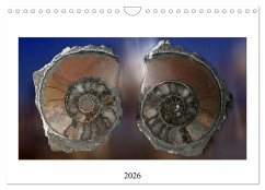 Versteinerte Welt (Wandkalender 2026 DIN A4 quer), CALVENDO Monatskalender Versteinerte Welt (Wandkalender 2026 DIN A4 quer), CALVENDO Monatskalender