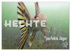 Hechte - perfekte Jäger (Wandkalender 2026 DIN A2 quer), CALVENDO Monatskalender