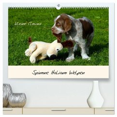 Spinone Italiano Welpen - Kleine Clowns (hochwertiger Premium Wandkalender 2026 DIN A2 quer), Kunstdruck in Hochglanz Spinone Italiano Welpen - Kleine Clowns (hochwertiger Premium Wandkalender 2026 DIN A2 quer), Kunstdruck in Hochglanz