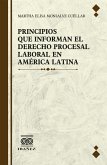 Principios que informan el derecho procesal laboral en America Latina (eBook, PDF)