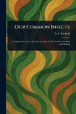 Our Common Insects Our Common Insects
