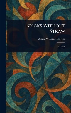 Bricks Without Straw - Tourgée, Albion Winegar