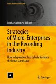 Strategies of Micro-Enterprises in the Recording Industry (eBook, PDF)