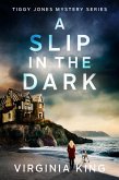 A Slip in the Dark (eBook, ePUB) A Slip in the Dark (eBook, ePUB)