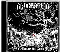 Cover A Thousand Little Deaths