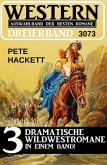 Western Dreierband 3073 (eBook, ePUB) Western Dreierband 3073 (eBook, ePUB)