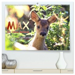 Max, der kleine Rehbock (hochwertiger Premium Wandkalender 2026 DIN A2 quer), Kunstdruck in Hochglanz