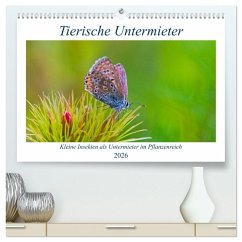 Cover Tierische Untermieter (hochwertiger Premium Wandkalender 2026 DIN A2 quer), Kunstdruck in Hochglanz