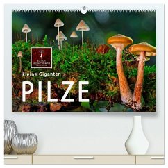 Cover Pilze - kleine Giganten (hochwertiger Premium Wandkalender 2026 DIN A2 quer), Kunstdruck in Hochglanz