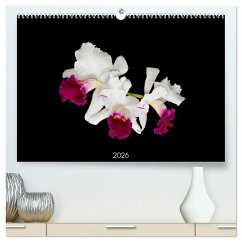 Cover Leuchtende Cattleyen (hochwertiger Premium Wandkalender 2026 DIN A2 quer), Kunstdruck in Hochglanz