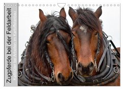 Zugpferde bei der Feldarbeit (Wandkalender 2026 DIN A4 quer), CALVENDO Monatskalender Zugpferde bei der Feldarbeit (Wandkalender 2026 DIN A4 quer), CALVENDO Monatskalender