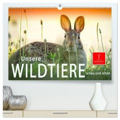 Unsere Wildtiere - scheu und schön (hochwertiger Premium Wandkalender 2026 DIN A2 quer), Kunstdruck in Hochglanz Unsere Wildtiere - scheu und schön (hochwertiger Premium Wandkalender 2026 DIN A2 quer), Kunstdruck in Hochglanz