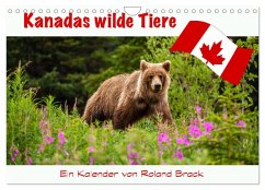 Kanadas Wilde Tiere (Wandkalender 2026 DIN A4 quer), CALVENDO Monatskalender
