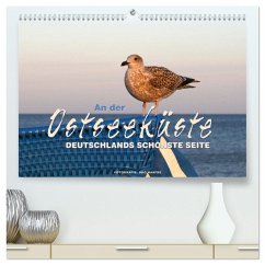 An der Ostseeküste - Deutschlands schönste Seite (hochwertiger Premium Wandkalender 2026 DIN A2 quer), Kunstdruck in Hochglanz