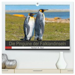 Cover Die Pinguine der Falklandinseln (hochwertiger Premium Wandkalender 2026 DIN A2 quer), Kunstdruck in Hochglanz
