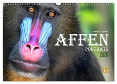 Cover AFFENPORTRÄTS (Wandkalender 2026 DIN A3 quer), CALVENDO Monatskalender