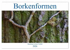 Cover Borkenformen (Wandkalender 2026 DIN A2 quer), CALVENDO Monatskalender
