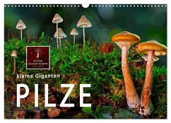 Cover Pilze - kleine Giganten (Wandkalender 2026 DIN A3 quer), CALVENDO Monatskalender