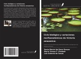 Ciclo biológico y variaciones morfoanatómicas de Victoria amazonica: Ciclo biológico y variaciones morfoanatómicas de Victoria amazonica: