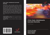 Cichy chaos: dekodowanie ko¿cówki Becketta Cichy chaos: dekodowanie ko¿cówki Becketta