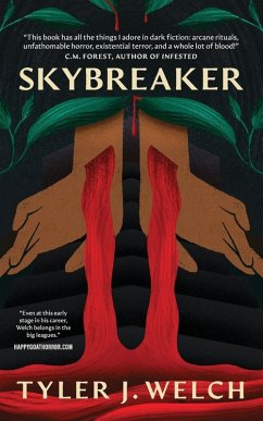 Cover Skybreaker
