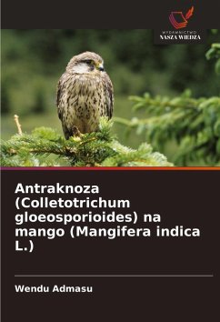 Cover Antraknoza (Colletotrichum gloeosporioides) na mango (Mangifera indica L.)