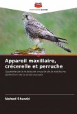 Appareil maxillaire, crécerelle et perruche
