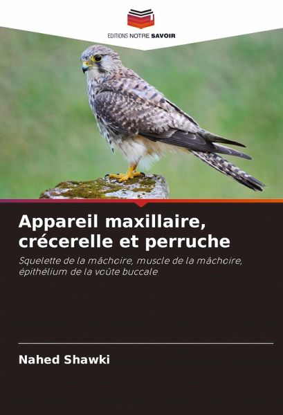 Appareil maxillaire, crécerelle et perruche