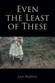 Even the Least of These (eBook, ePUB)