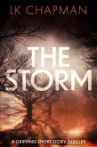The Storm (eBook, ePUB)